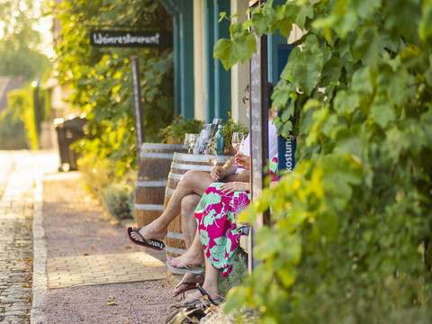 Straußwirtschaft Radebeul Radebeul Weinhänge