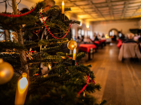 Grüner Saal auf Schloss Wildeck