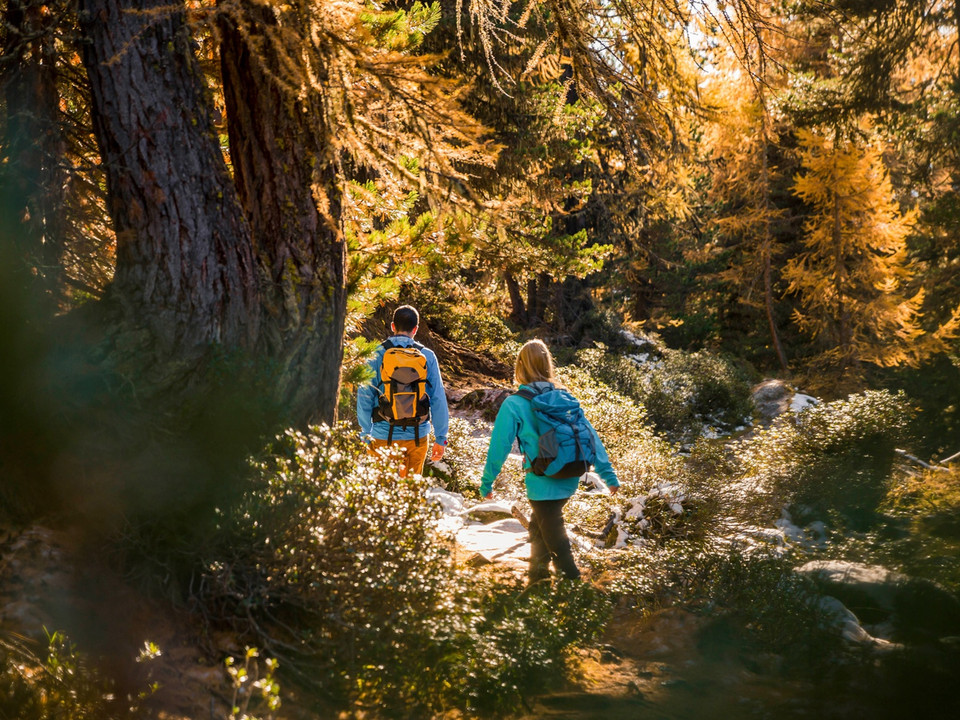 Wanderung von der Riederalp durch den Aletschwald zu den Chatzulechern