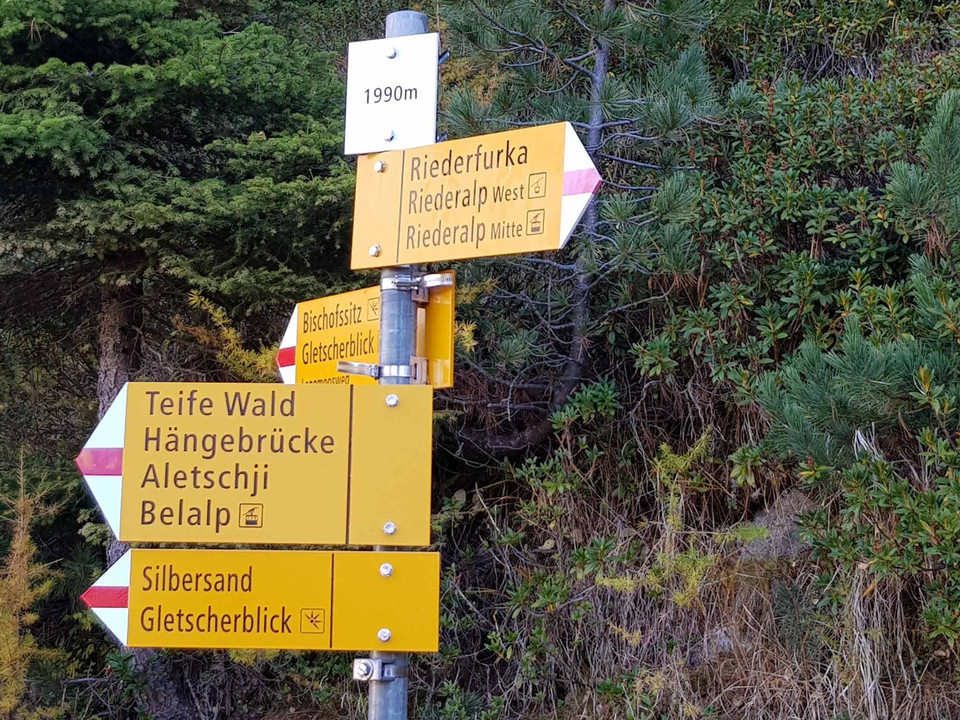 Wanderung von der Riederalp via Aletschwald zu den Chatzulechern