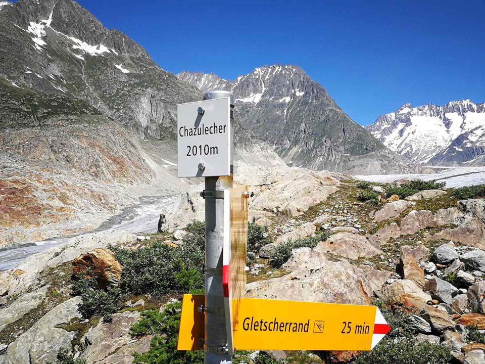 Wanderung von der Riederalp via Aletschwald zu den Chatzulechern