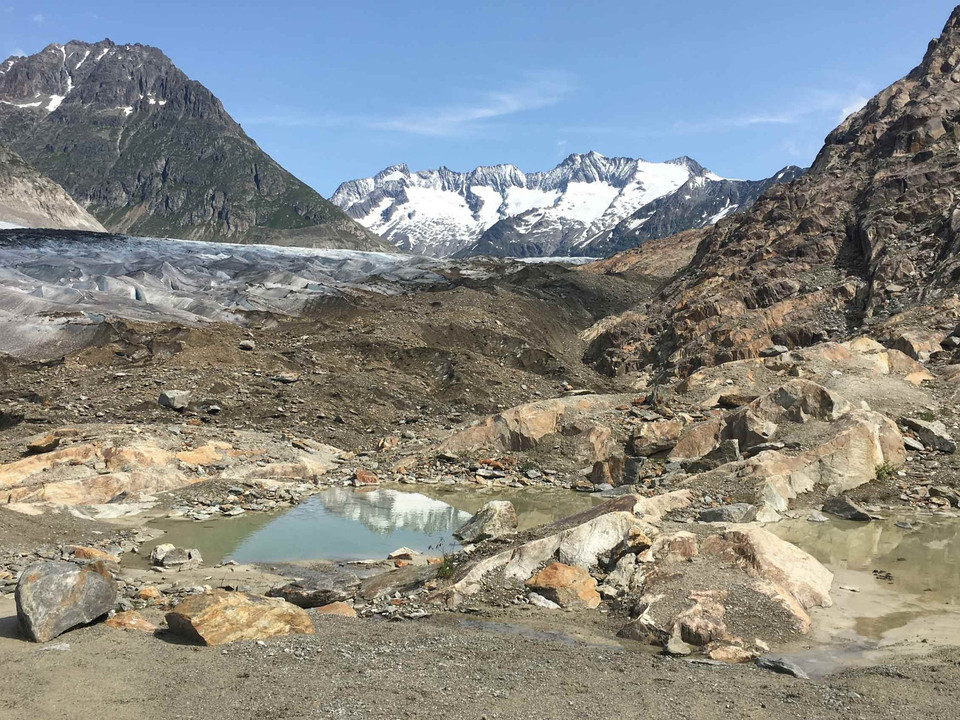 Wanderung von der Riederalp via Aletschwald zu den Chatzulechern