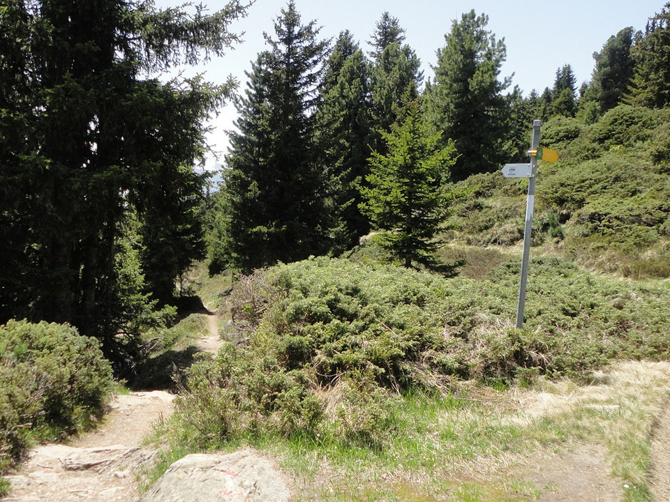 Themenweg Casselweg rund um das Riederhorn