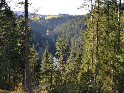 Blick Richtung Stütuengrün