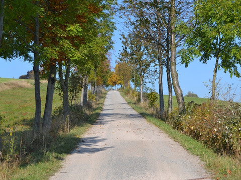 Lärchenstraße unten