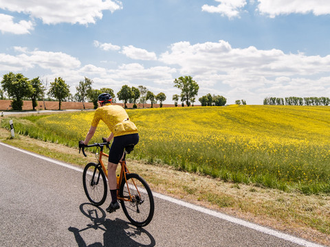 Blühender Raps am Wegesrand