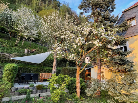 Garten mit Sitzmöbeln