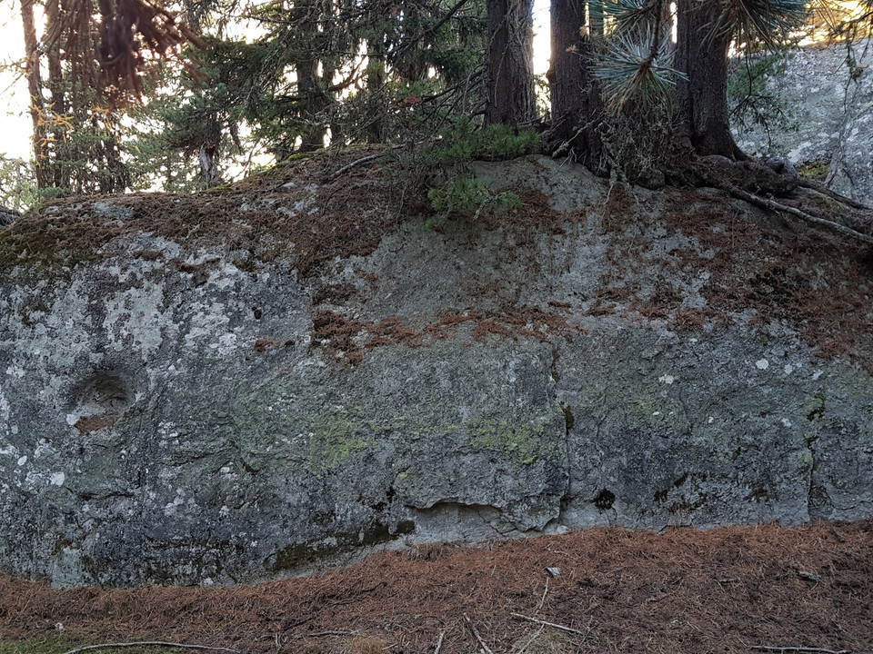 Rundwanderung von der Riederalp via Grünsee, Silbersand und zurück