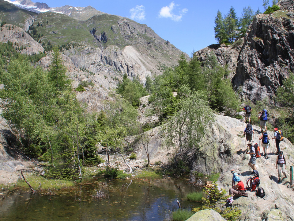 Rundwanderung von der Riederalp via Grünsee, Silbersand und zurück