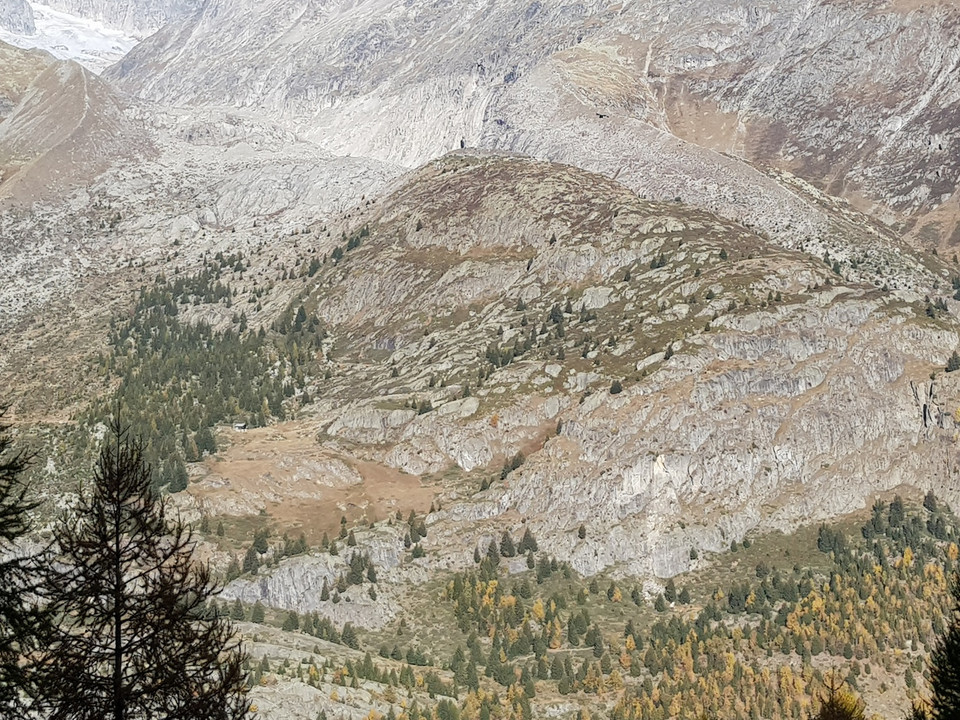 Rundwanderung von der Riederalp via Grünsee, Silbersand und zurück