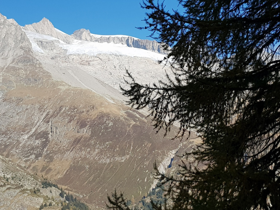 Rundwanderung von der Riederalp via Grünsee, Silbersand und zurück