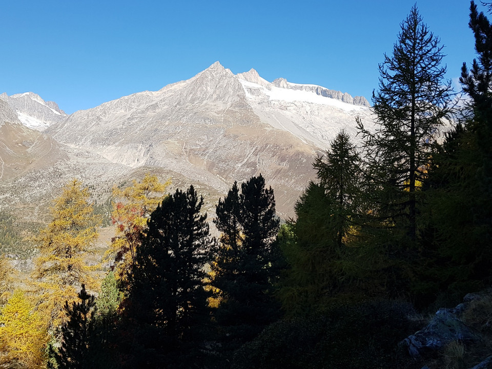 Rundwanderung von der Riederalp via Grünsee, Silbersand und zurück