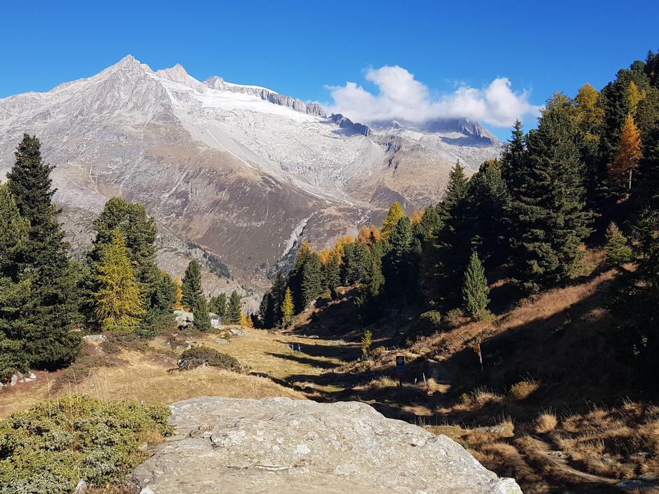 Rundwanderung von der Riederalp via Grünsee, Silbersand und zurück