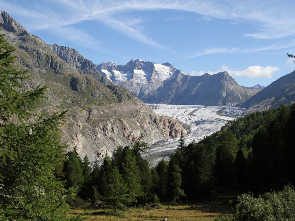 Rundwanderung von der Riederalp via Grünsee, Silbersand und zurück