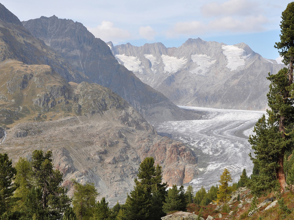 Rundwanderung von der Riederalp via Grünsee, Silbersand und zurück