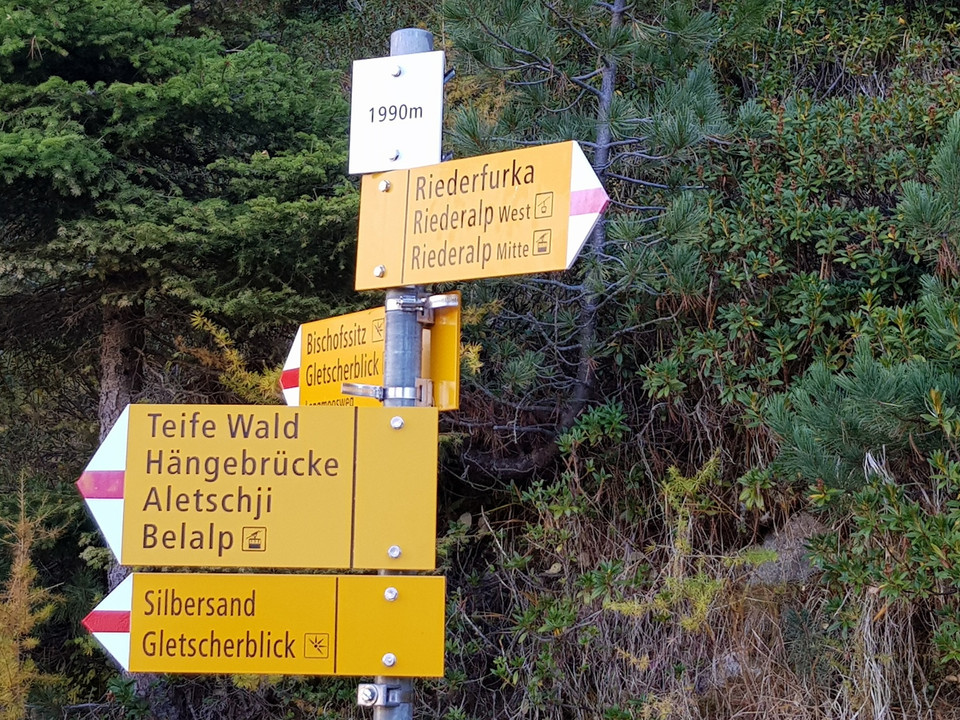 Rundwanderung von der Riederalp via Grünsee, Silbersand und zurück