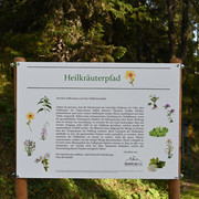 Themenrundweg Heilkräuterpfad