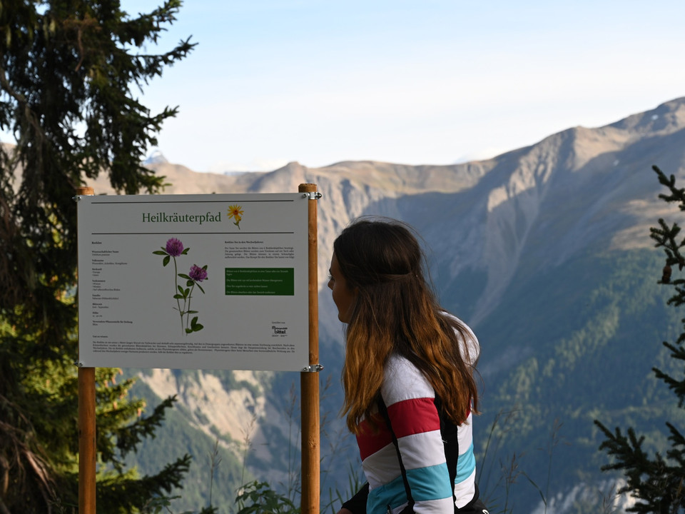 Themenrundweg Heilkräuterpfad