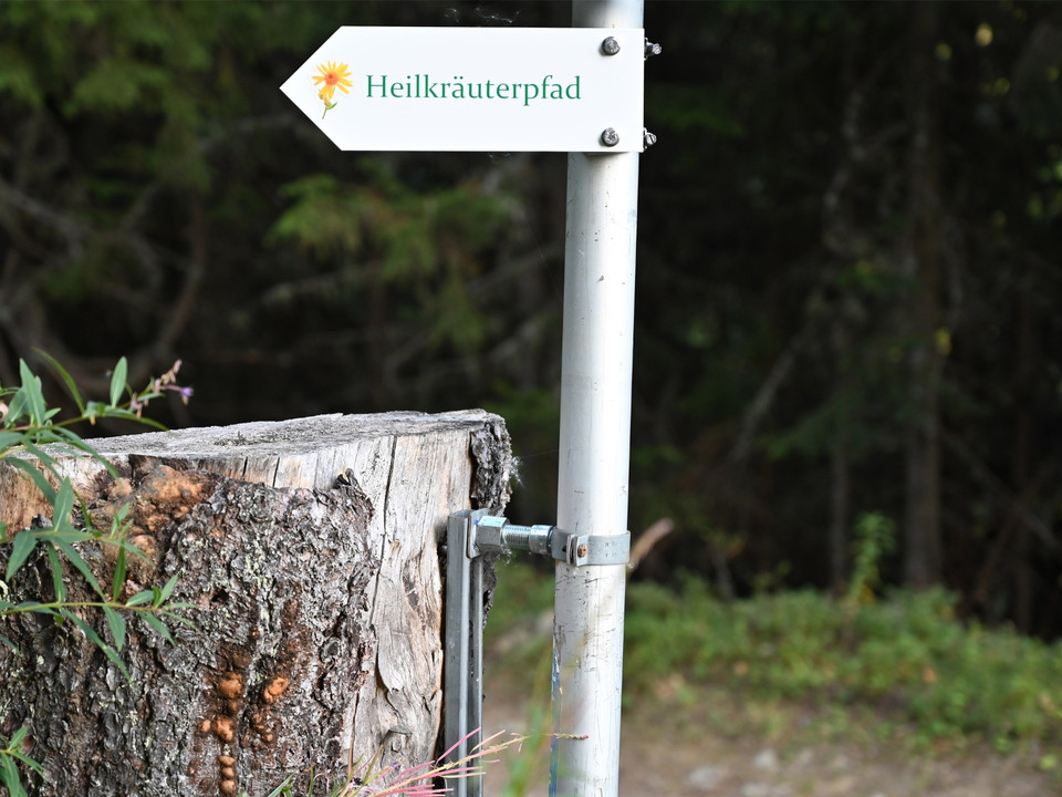 Themenrundweg Heilkräuterpfad