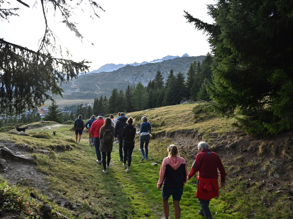 Themenrundweg Heilkräuterpfad