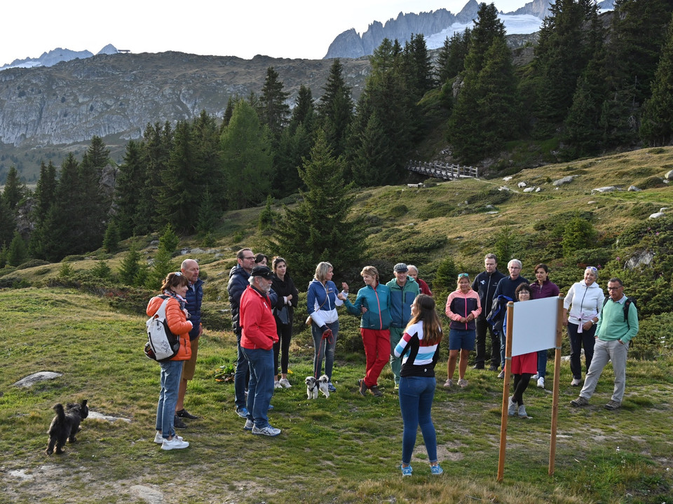 Themenrundweg Heilkräuterpfad