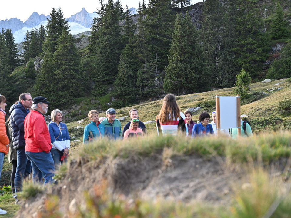 Themenrundweg Heilkräuterpfad