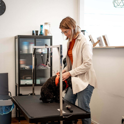 malente_haus des hundes (2).jpg