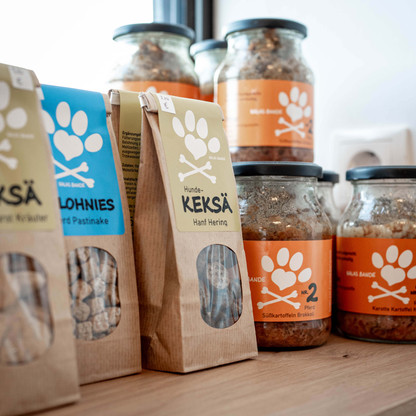 malente_haus des hundes (6).jpg