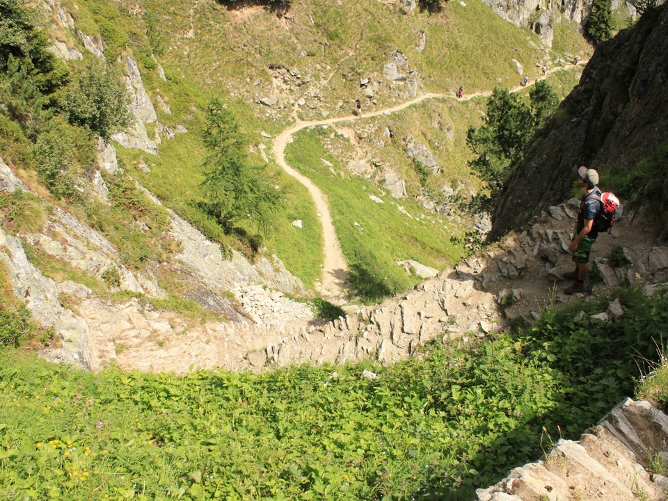 Bergtour von der Riederalp via Hängebrücke zur Oberaletschhütte und zurück auf die Belalp
