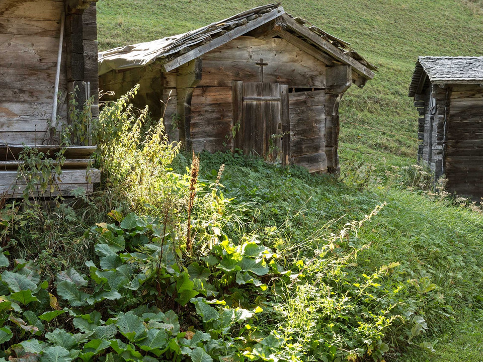 Wanderung von Fiesch via Ernen, Mühlebach, Steinhaus nach Niederwald
