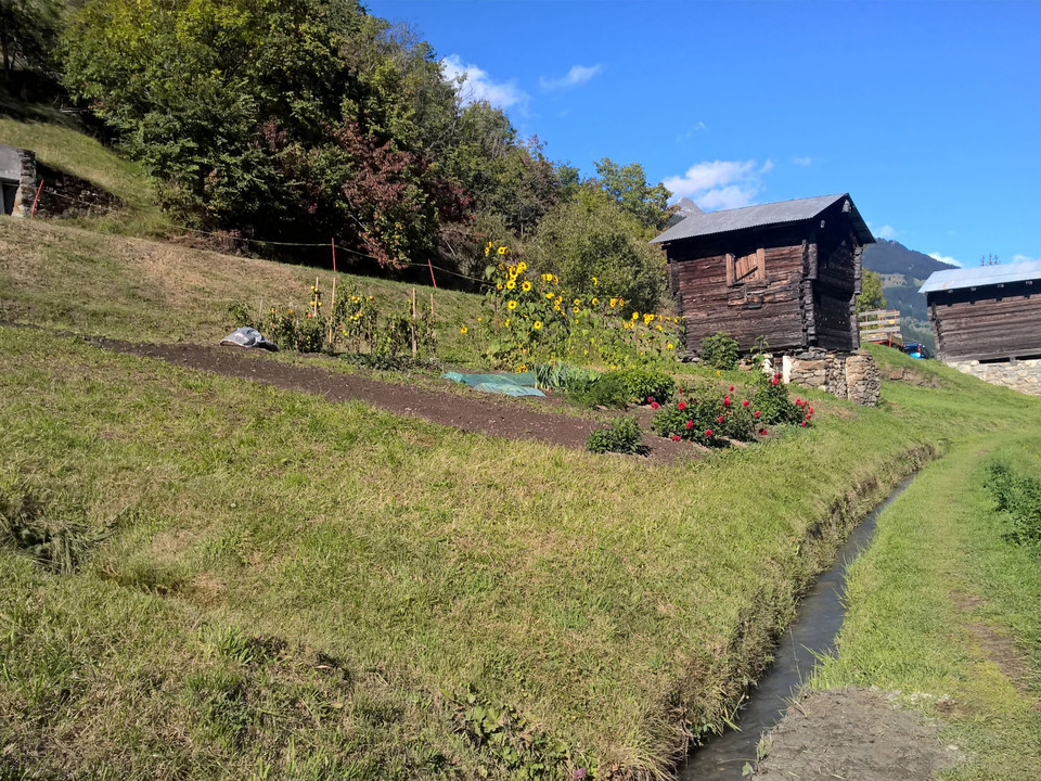 Themenweg Blatten auf dem Massaweg nach Ried-Mörel