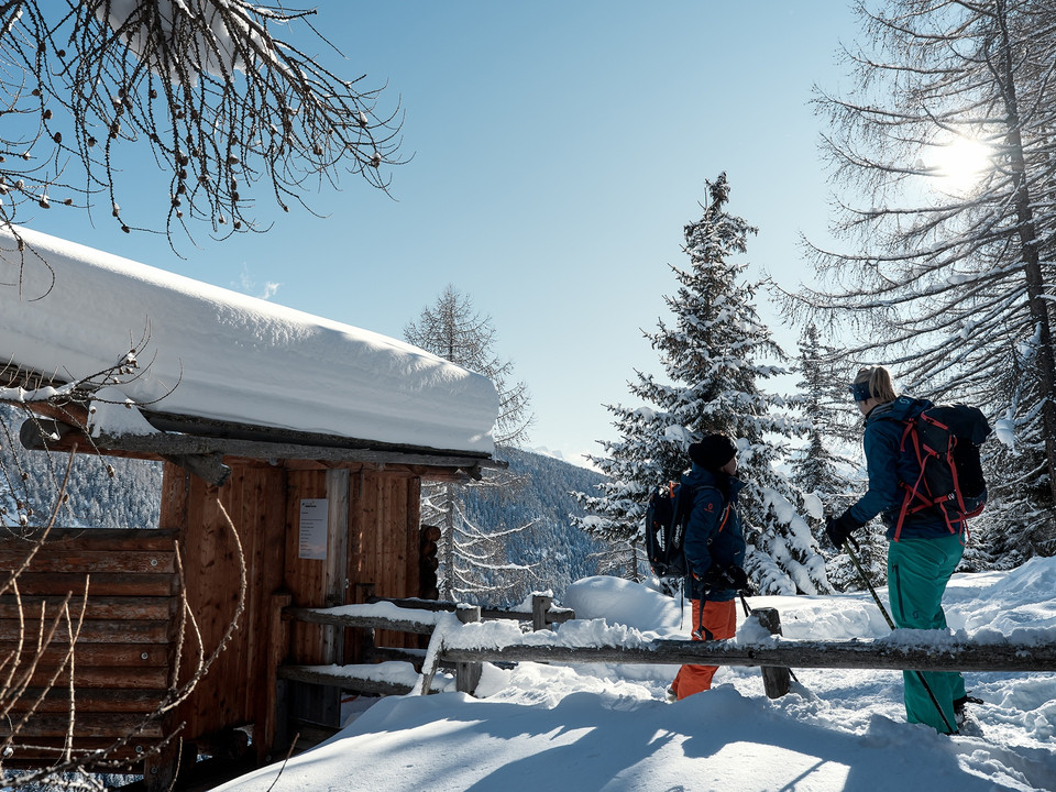 Wildbeobachtungsposten