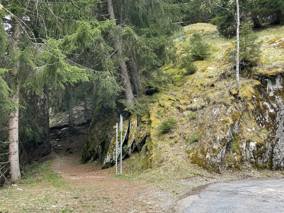 Abzweigung Strasse in den Rischinerwald