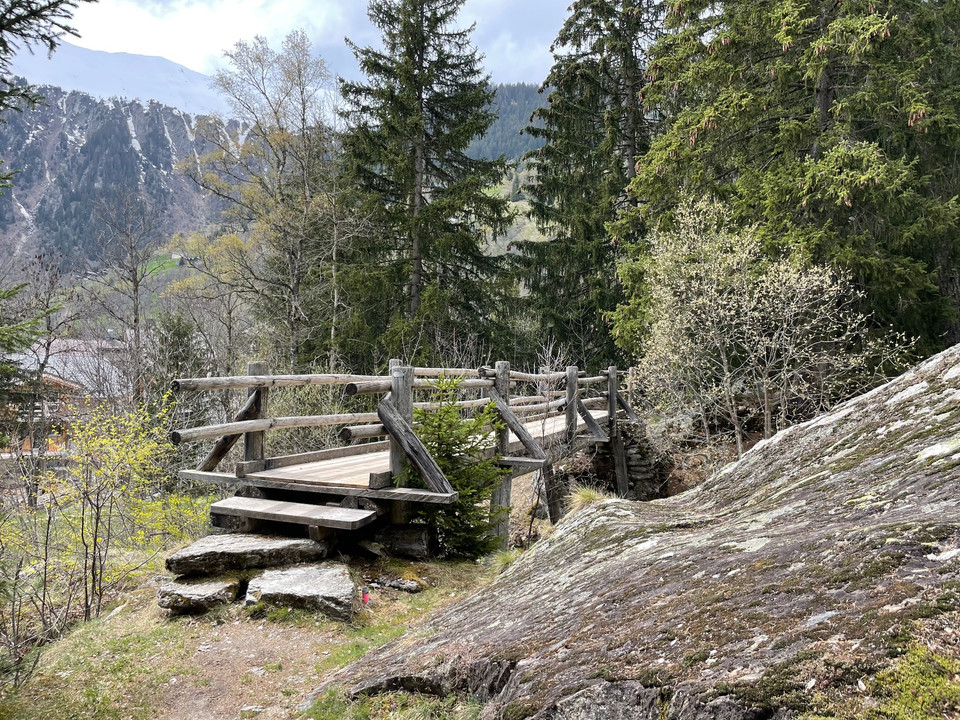 Brücke Blatten - Rischinerwald