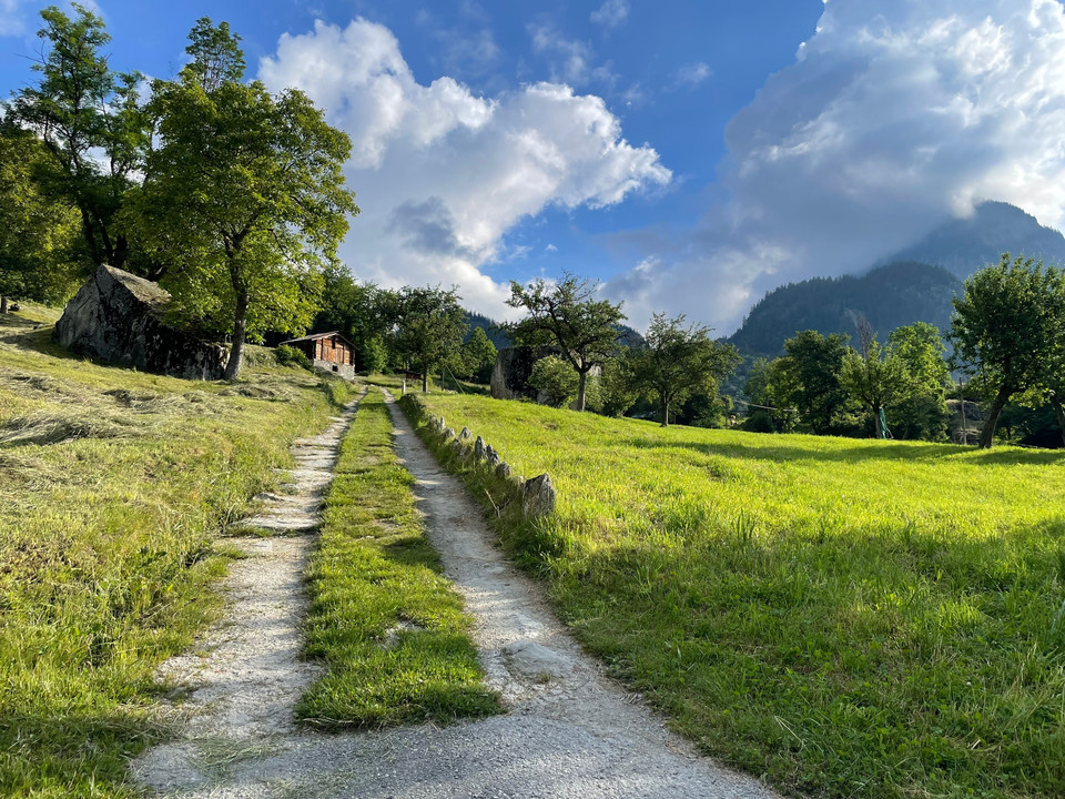 historische Strasse Naters - Blatten, Moosji
