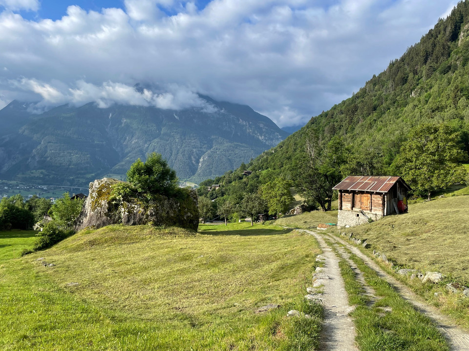 historische Strasse Naters - Blatten, Moosji