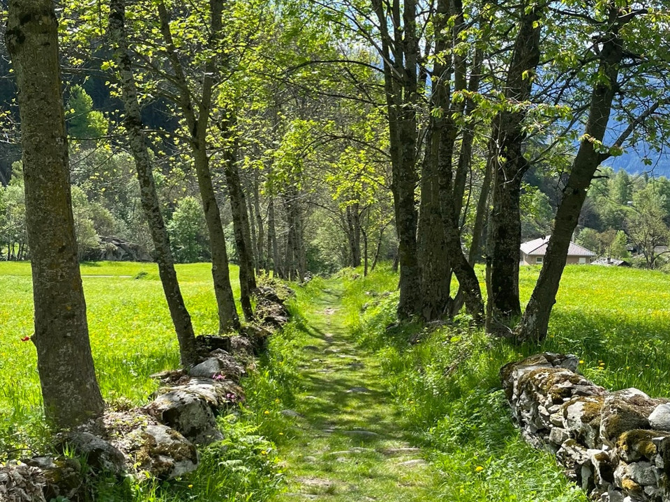 historische Strasse Naters - Blatten, Geimerblatt