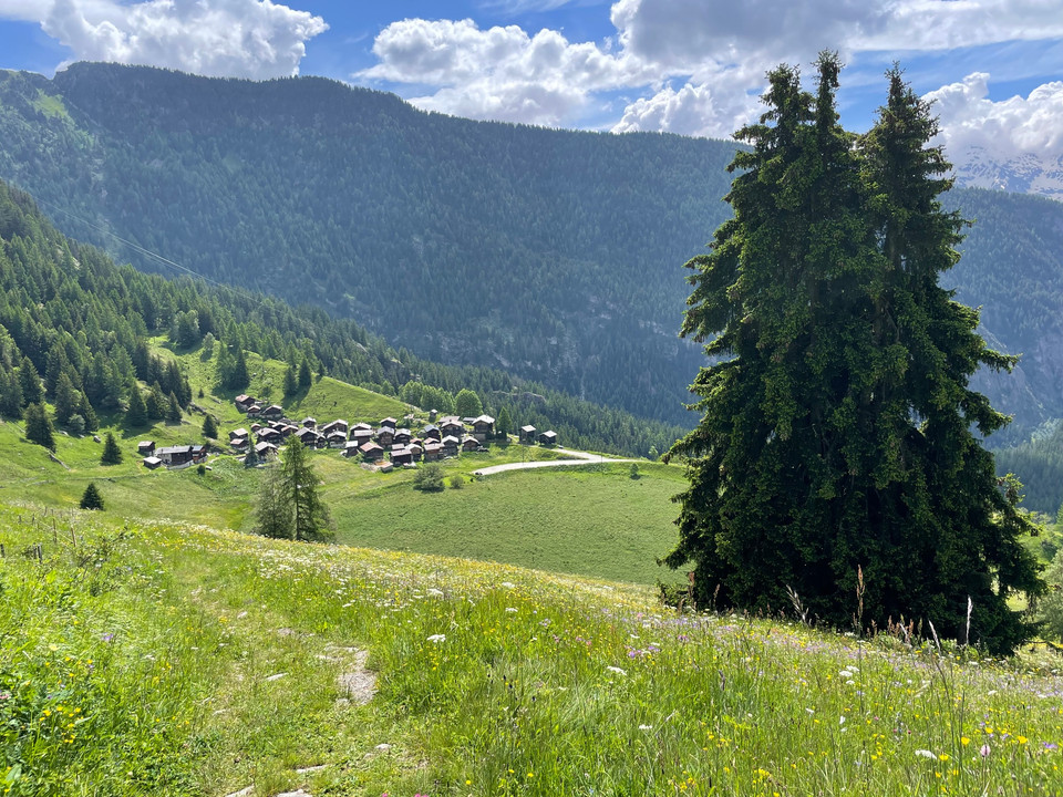 historische Strasse, Egga - Belalp, Blick zurück zur Egga
