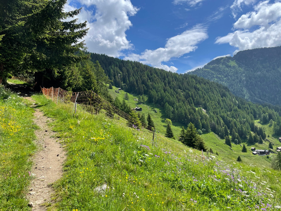 historische Strasse, Egga - Belalp