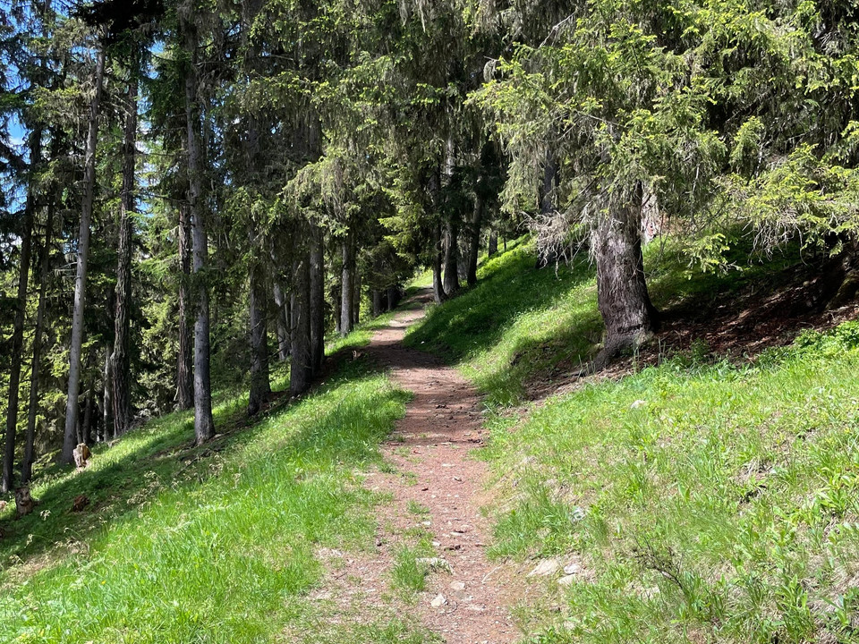 historische Strasse, Egga - Belalp