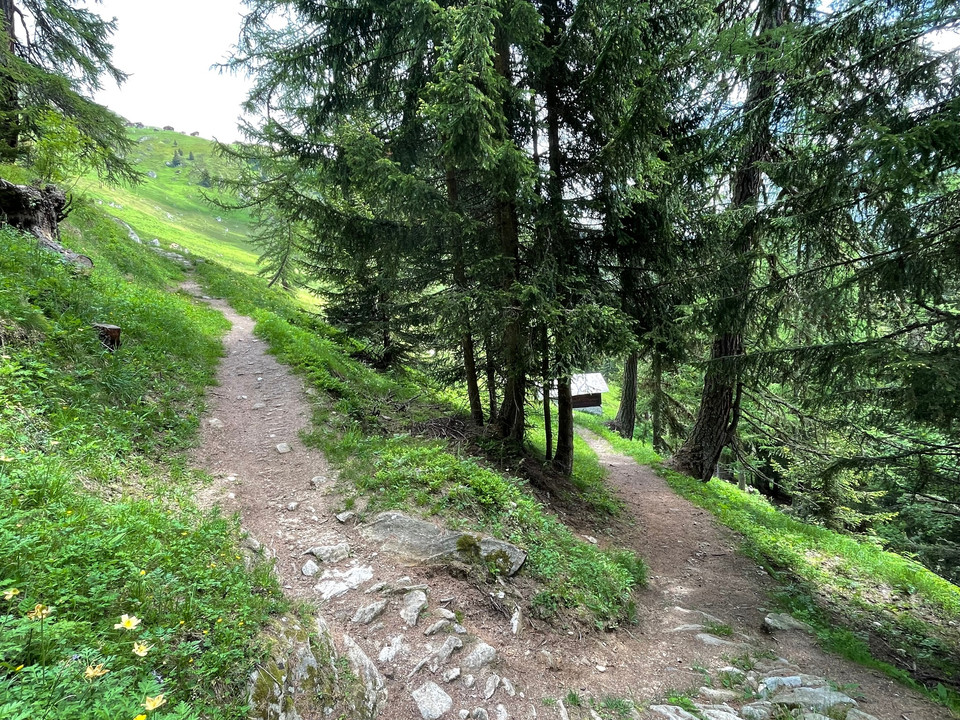 historische Strasse, Egga - Belalp