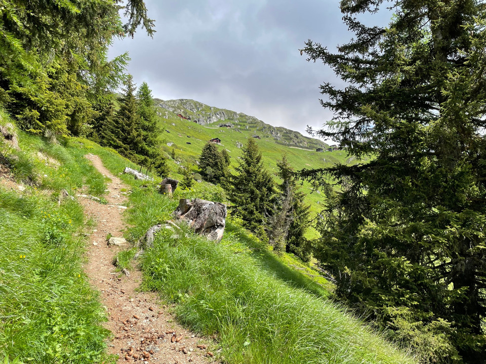 historische Strasse, Egga - Belalp