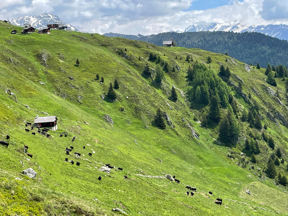 Unterwegs auf die Belalp