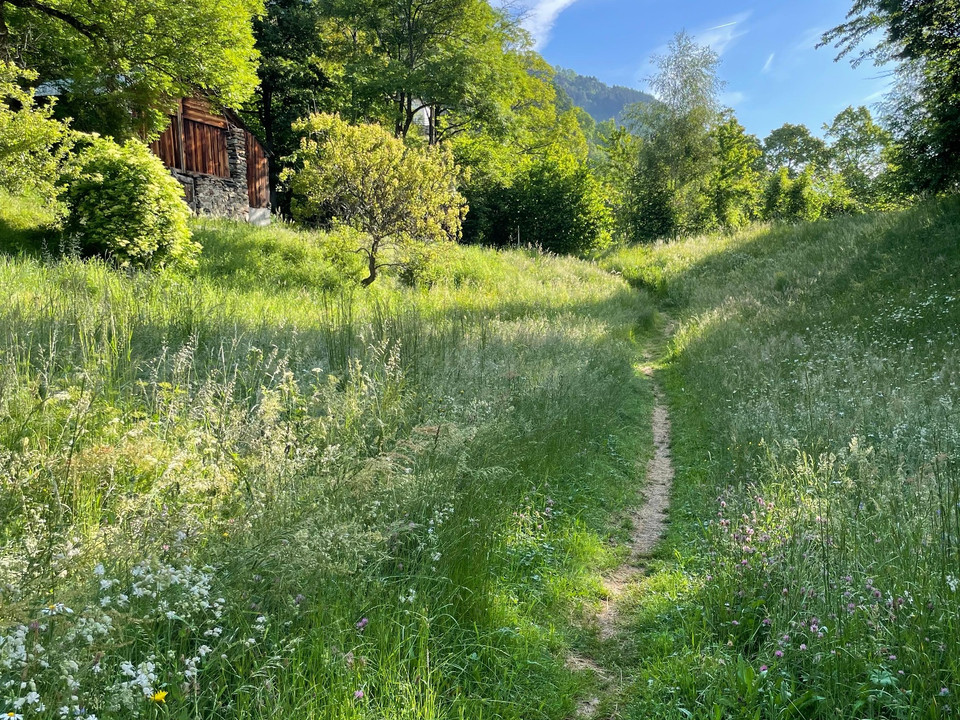 auf dem Weg zur Trämelkapelle