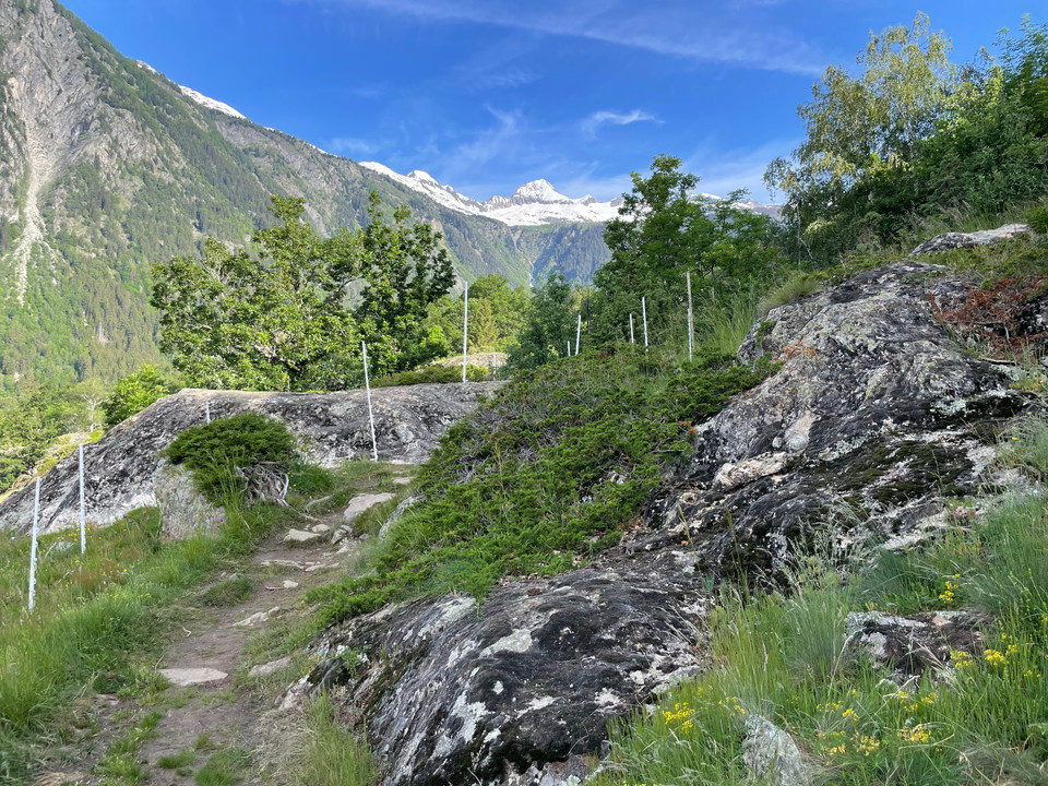Trämel - Geimen, Blick zur Belalp