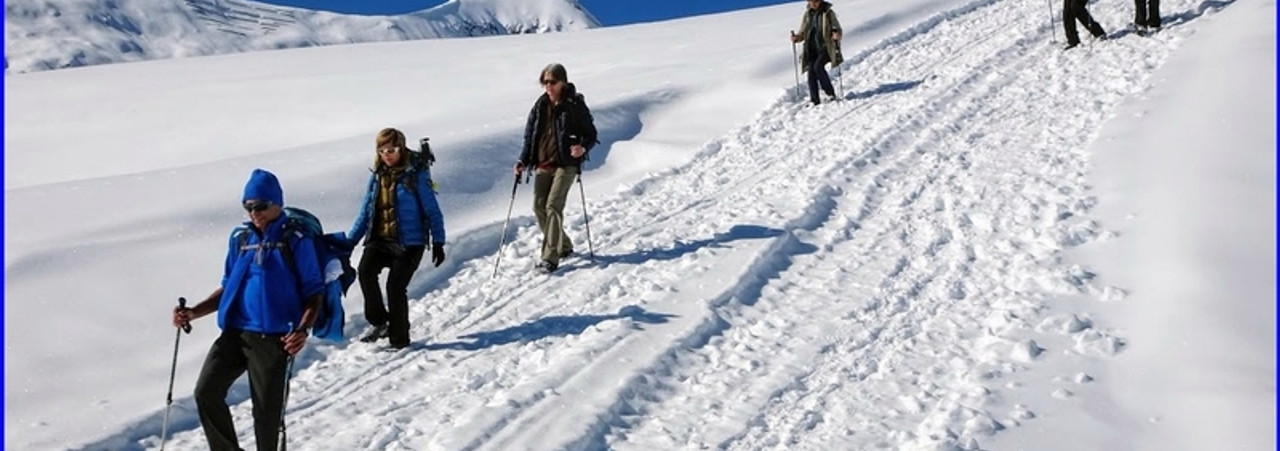 Bruchegg - Schönbiel