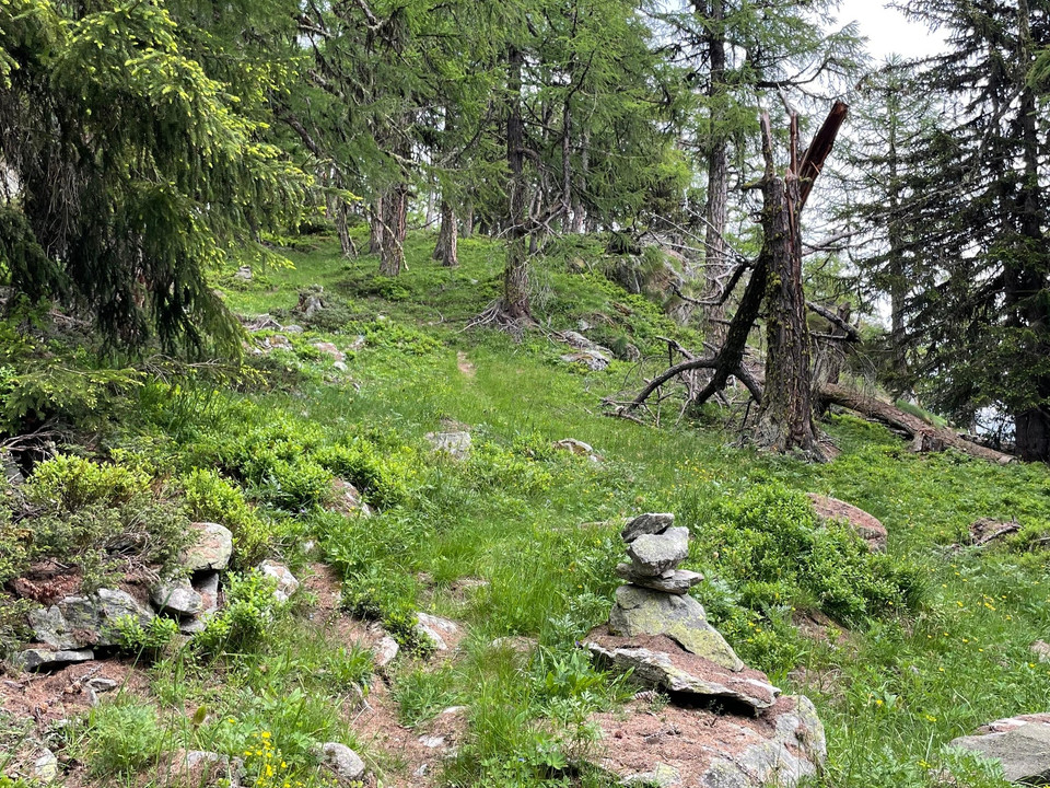 unwegsames Gelände Richtung Bättchrizji