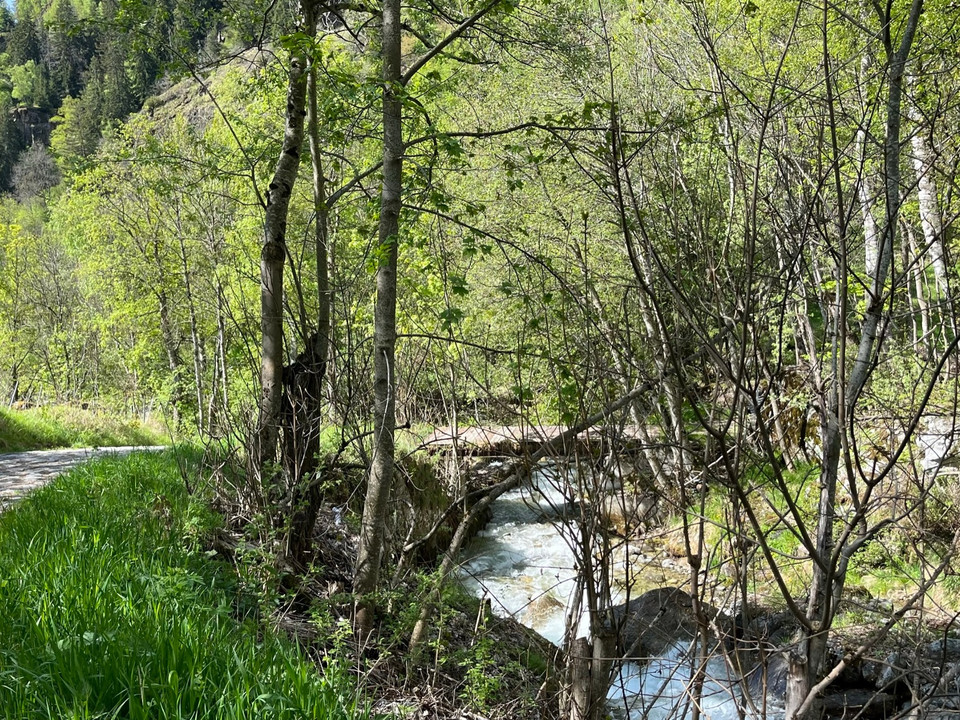 historische Strasse Naters - Blatten