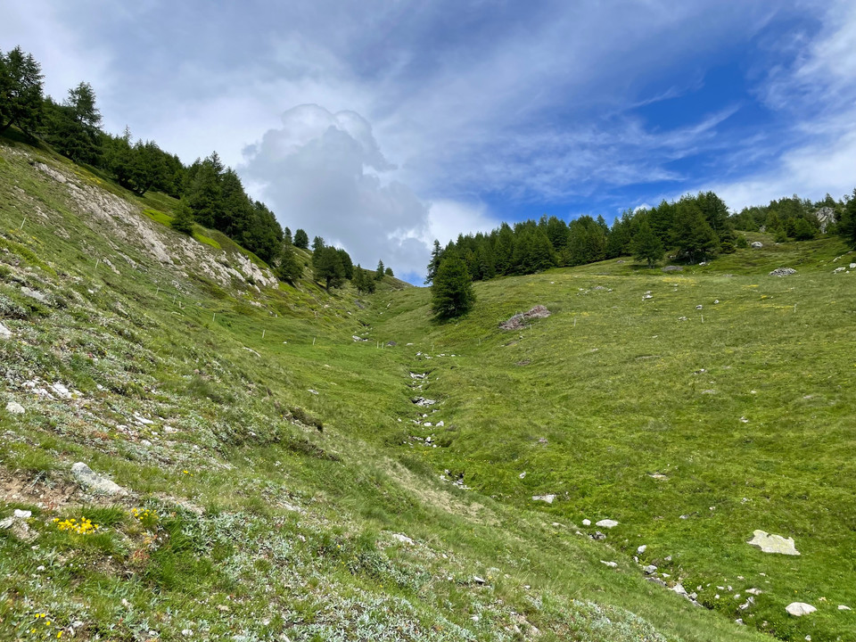 kurz nach der Alpe Brischeru