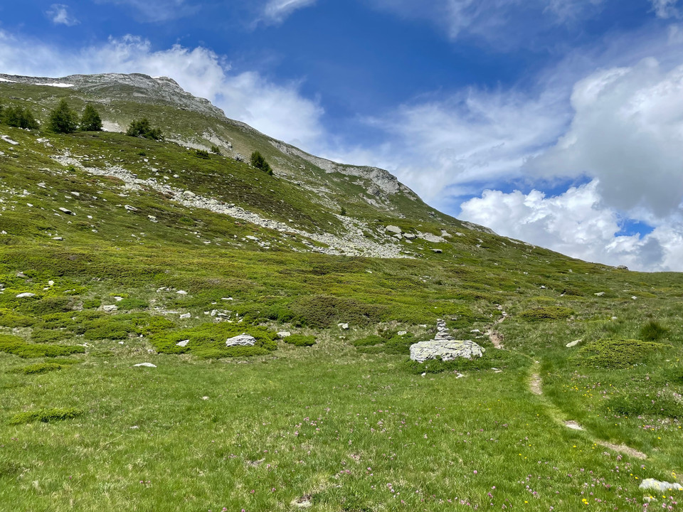 über Alpweiden, noch liegt der Gipfel weit weg